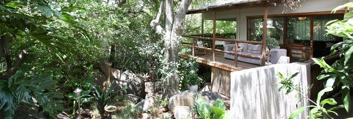 Little Forest Guesthouse Parkhurst Johannesburg
